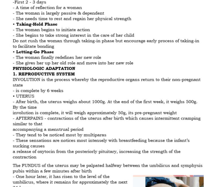 When Does Menstruation Resume After Childbirth? A Postpartum Guide