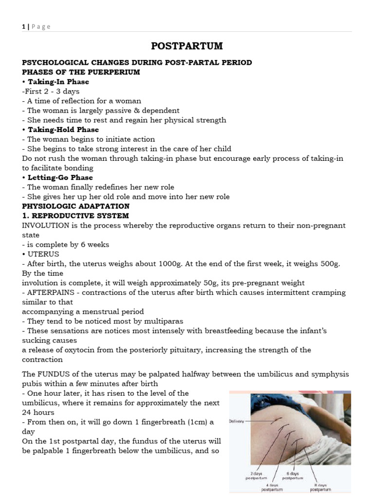 When Does Menstruation Resume After Childbirth? A Postpartum Guide