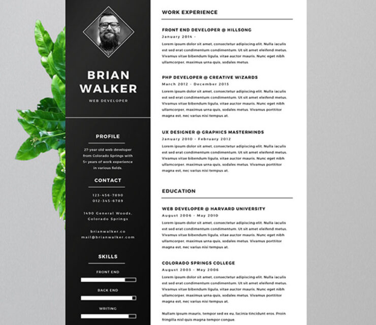 Where Can I Make a Resume for Free That Looks Professional?