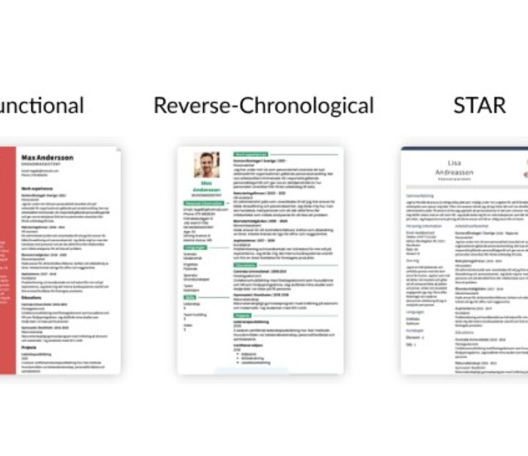 What Does Resume/CV Mean? Definitions Uses and Formats